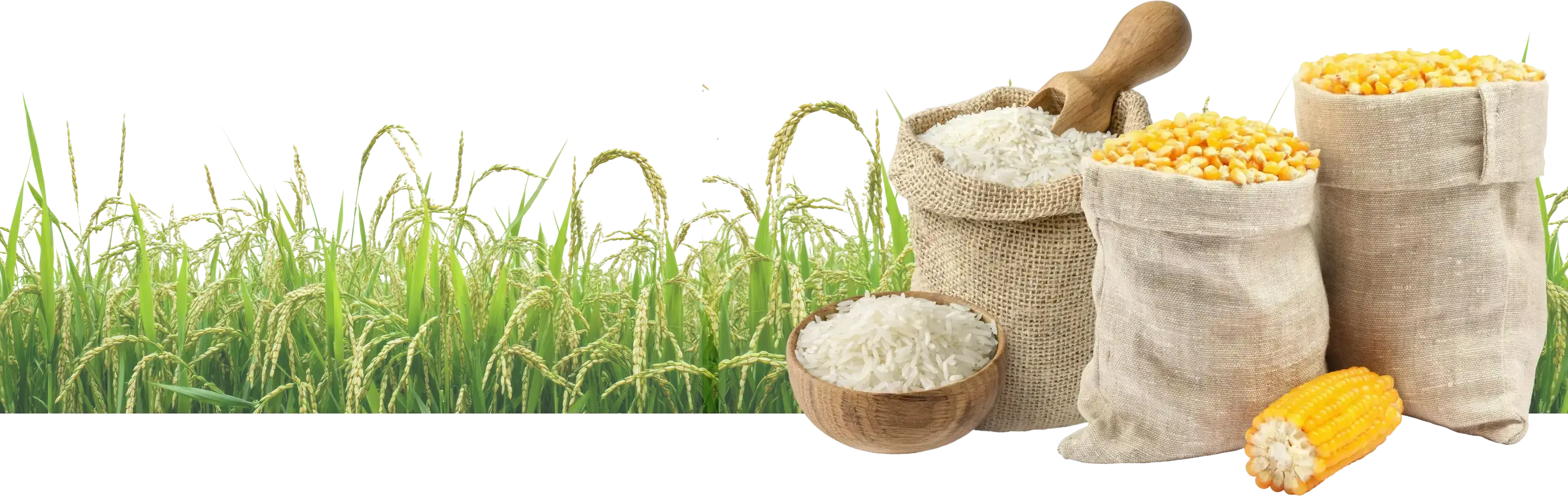 Agricultural Commodities